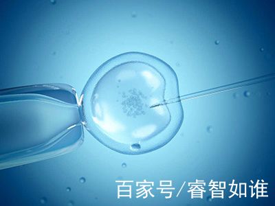 陈思远